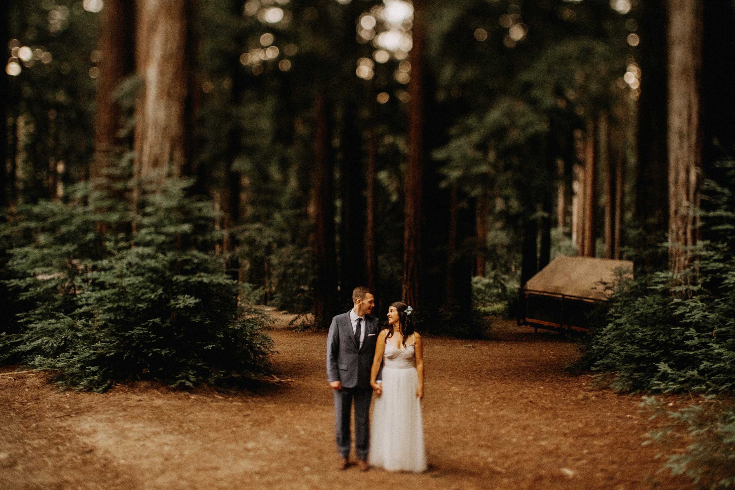 Jenni Grubba Events Bay area wedding planner norcal camp forest wedding redwoods