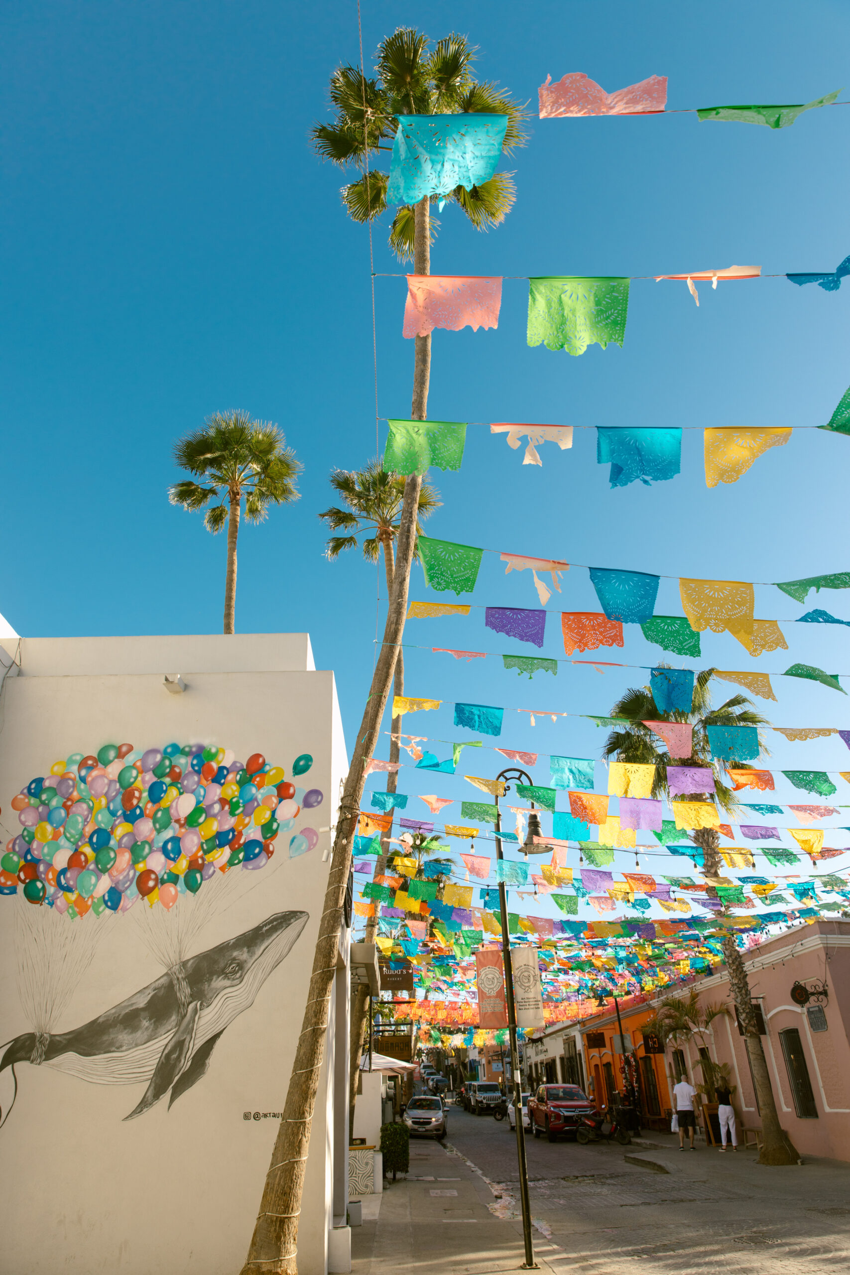 San Jose Del Cabo, Mexico street art. Whale with balloons street mural downtown San Jose Del Cabo. Papel picado banner. Colorful paper banner in Mexico above downtown street. blue skies and palm trees. 