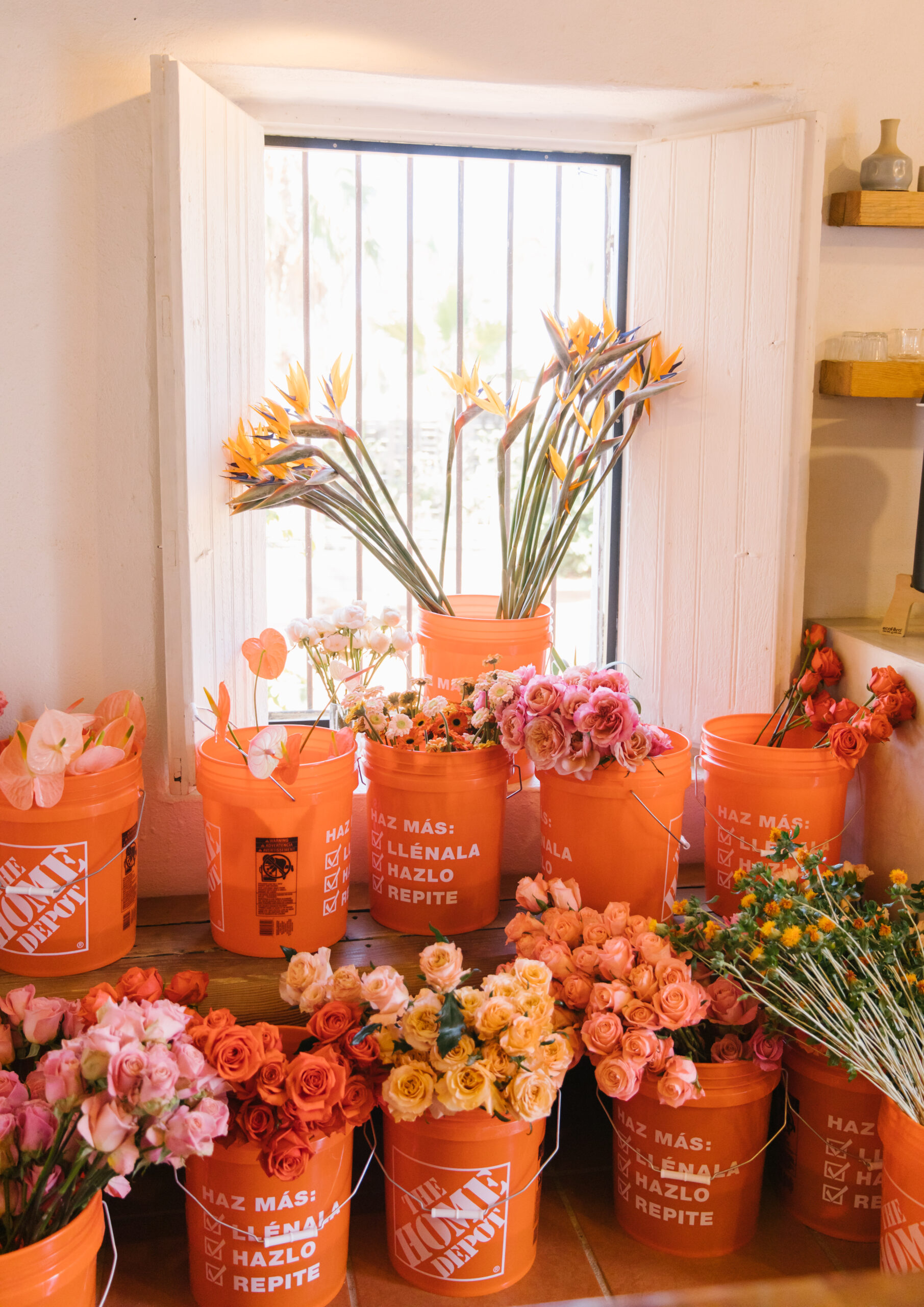Mexican Home Depot buckets filled with flowers in front of a backlit window. Daytime. birds of paradise. pink lilies. pink, orange, red, peach, and yellow roses. 