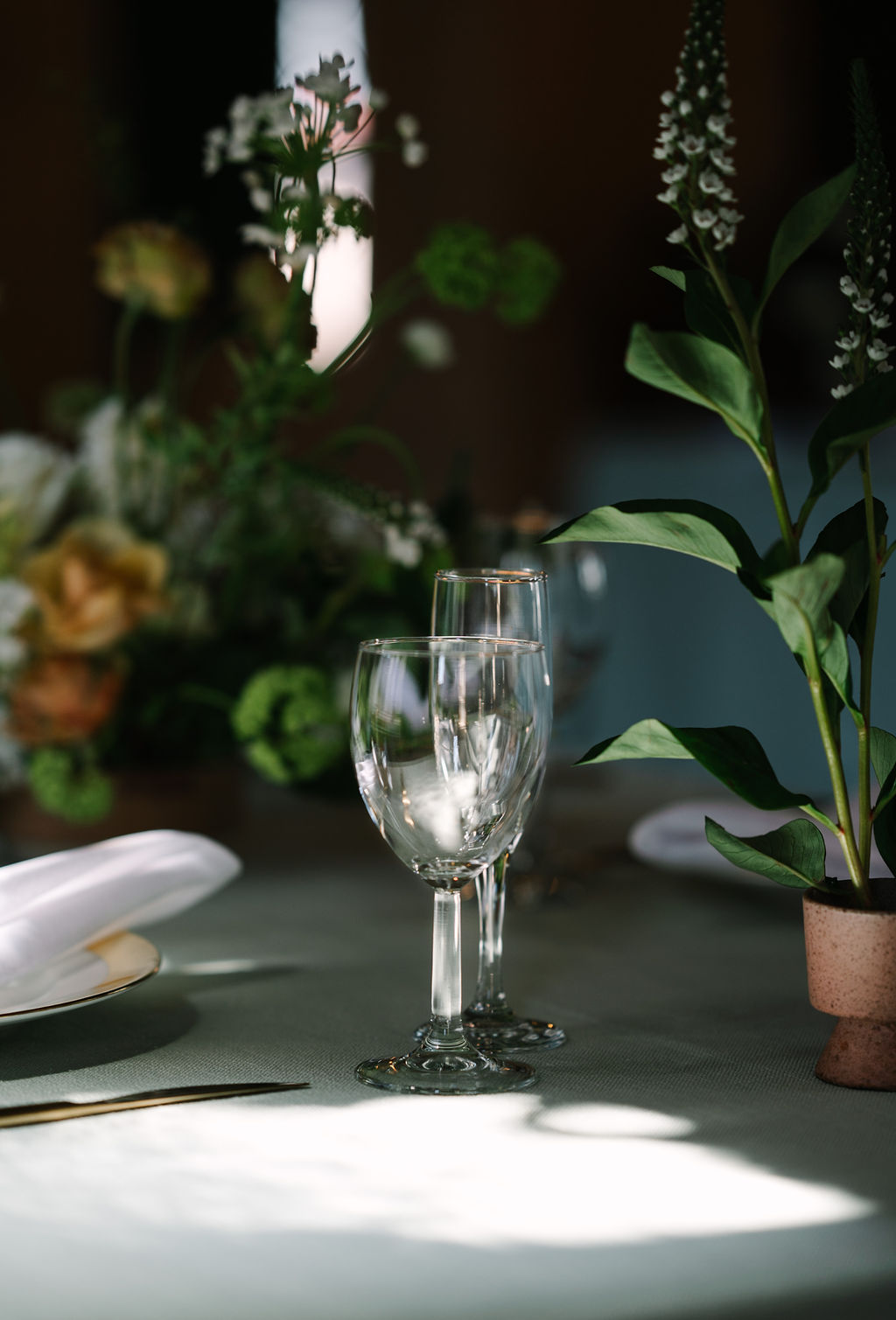 clean simple clear glassware wedding reception table top lush greens and delicate white floral table arrangements clean simple white napkin gold rimmed charger gold brushed flatware clay and terracotta pots